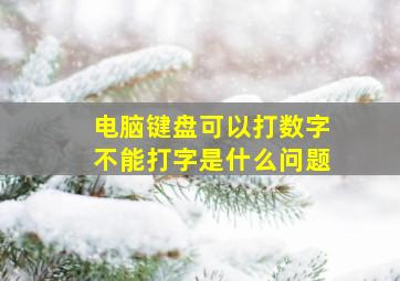 电脑键盘可以打数字不能打字是什么问题