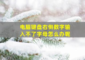 电脑键盘右侧数字输入不了字母怎么办呢