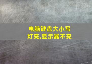 电脑键盘大小写灯亮,显示器不亮