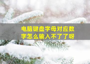 电脑键盘字母对应数字怎么输入不了了呀