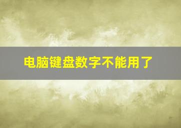 电脑键盘数字不能用了