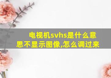 电视机svhs是什么意思不显示图像,怎么调过来