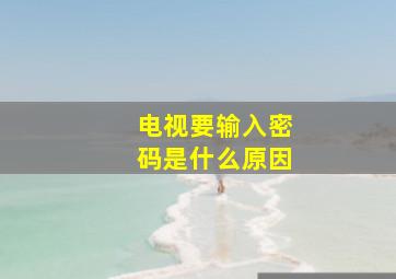 电视要输入密码是什么原因