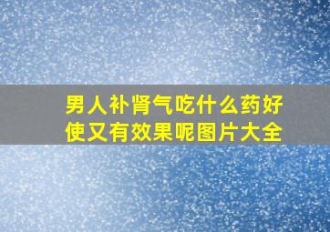 男人补肾气吃什么药好使又有效果呢图片大全