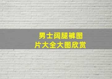 男士阔腿裤图片大全大图欣赏