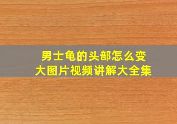 男士龟的头部怎么变大图片视频讲解大全集