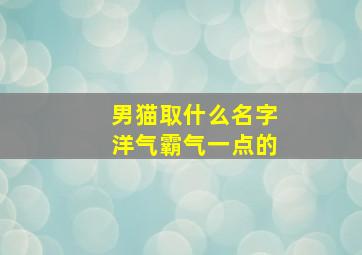 男猫取什么名字洋气霸气一点的