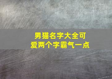 男猫名字大全可爱两个字霸气一点