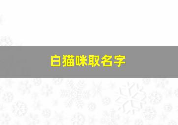 白猫咪取名字