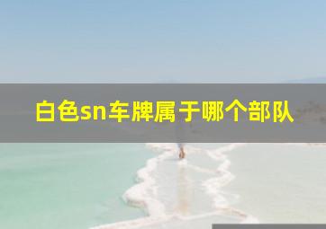 白色sn车牌属于哪个部队