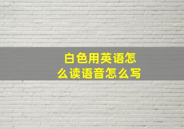 白色用英语怎么读语音怎么写