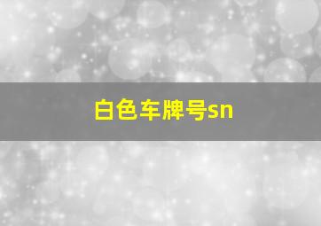 白色车牌号sn