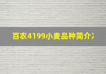 百农4199小麦品种简介冫