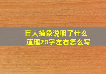 盲人摸象说明了什么道理20字左右怎么写