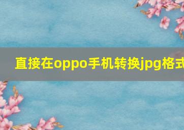 直接在oppo手机转换jpg格式