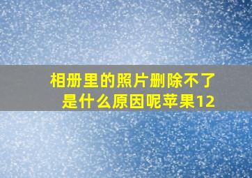 相册里的照片删除不了是什么原因呢苹果12