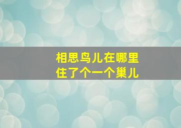 相思鸟儿在哪里住了个一个巢儿