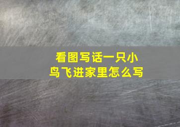 看图写话一只小鸟飞进家里怎么写