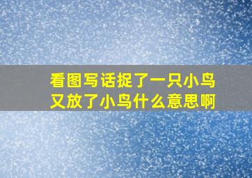 看图写话捉了一只小鸟又放了小鸟什么意思啊