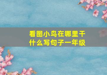 看图小鸟在哪里干什么写句子一年级