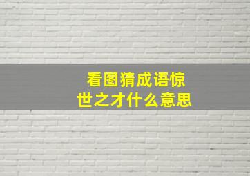 看图猜成语惊世之才什么意思