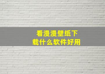 看漫漫壁纸下载什么软件好用