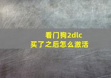 看门狗2dlc买了之后怎么激活