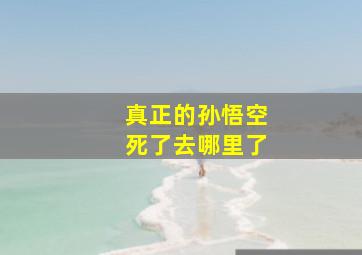 真正的孙悟空死了去哪里了