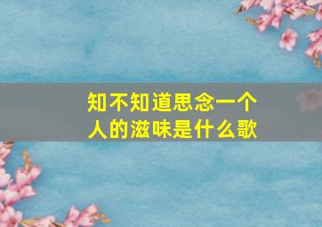 知不知道思念一个人的滋味是什么歌