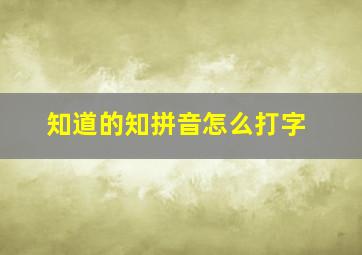 知道的知拼音怎么打字