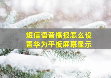 短信语音播报怎么设置华为平板屏幕显示