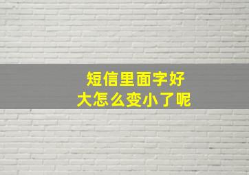 短信里面字好大怎么变小了呢