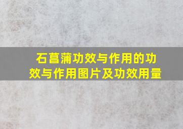 石菖蒲功效与作用的功效与作用图片及功效用量