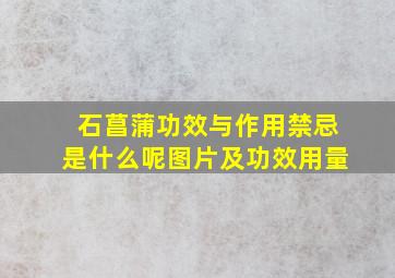 石菖蒲功效与作用禁忌是什么呢图片及功效用量