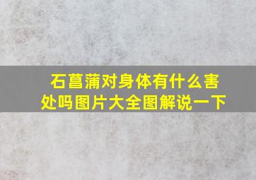 石菖蒲对身体有什么害处吗图片大全图解说一下