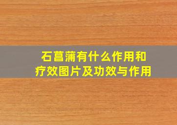 石菖蒲有什么作用和疗效图片及功效与作用