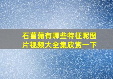 石菖蒲有哪些特征呢图片视频大全集欣赏一下