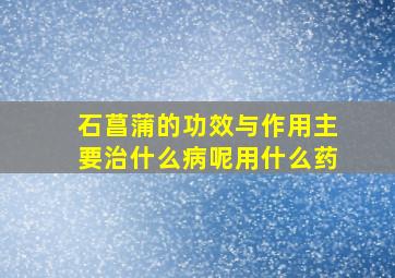 石菖蒲的功效与作用主要治什么病呢用什么药