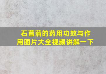 石菖蒲的药用功效与作用图片大全视频讲解一下