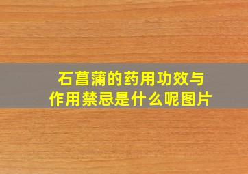 石菖蒲的药用功效与作用禁忌是什么呢图片