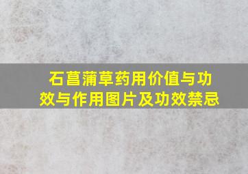 石菖蒲草药用价值与功效与作用图片及功效禁忌