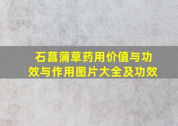 石菖蒲草药用价值与功效与作用图片大全及功效