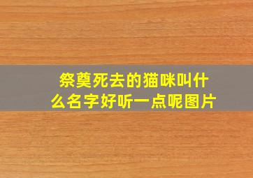 祭奠死去的猫咪叫什么名字好听一点呢图片