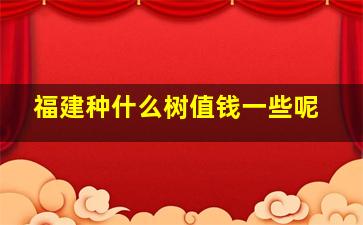 福建种什么树值钱一些呢