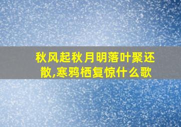 秋风起秋月明落叶聚还散,寒鸦栖复惊什么歌