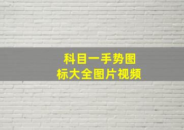 科目一手势图标大全图片视频