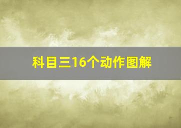 科目三16个动作图解