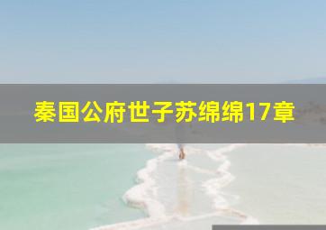 秦国公府世子苏绵绵17章