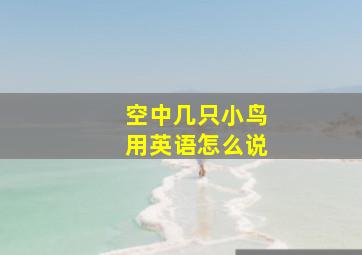 空中几只小鸟用英语怎么说