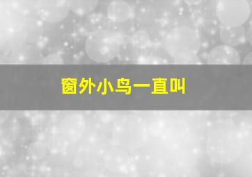 窗外小鸟一直叫